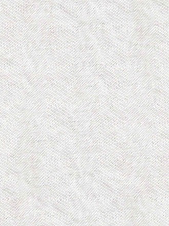 Nylon Pike 00691